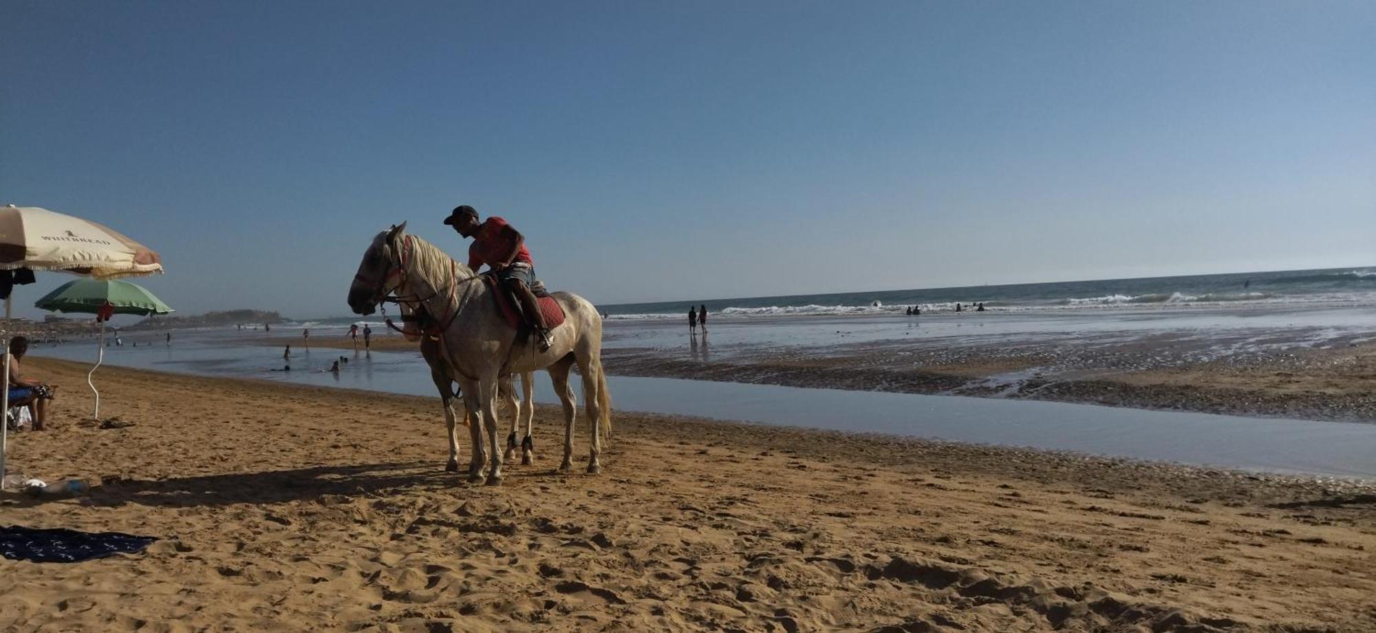 Appart Oubaha Tamrakht Taghazout 阿加迪尔 客房 照片